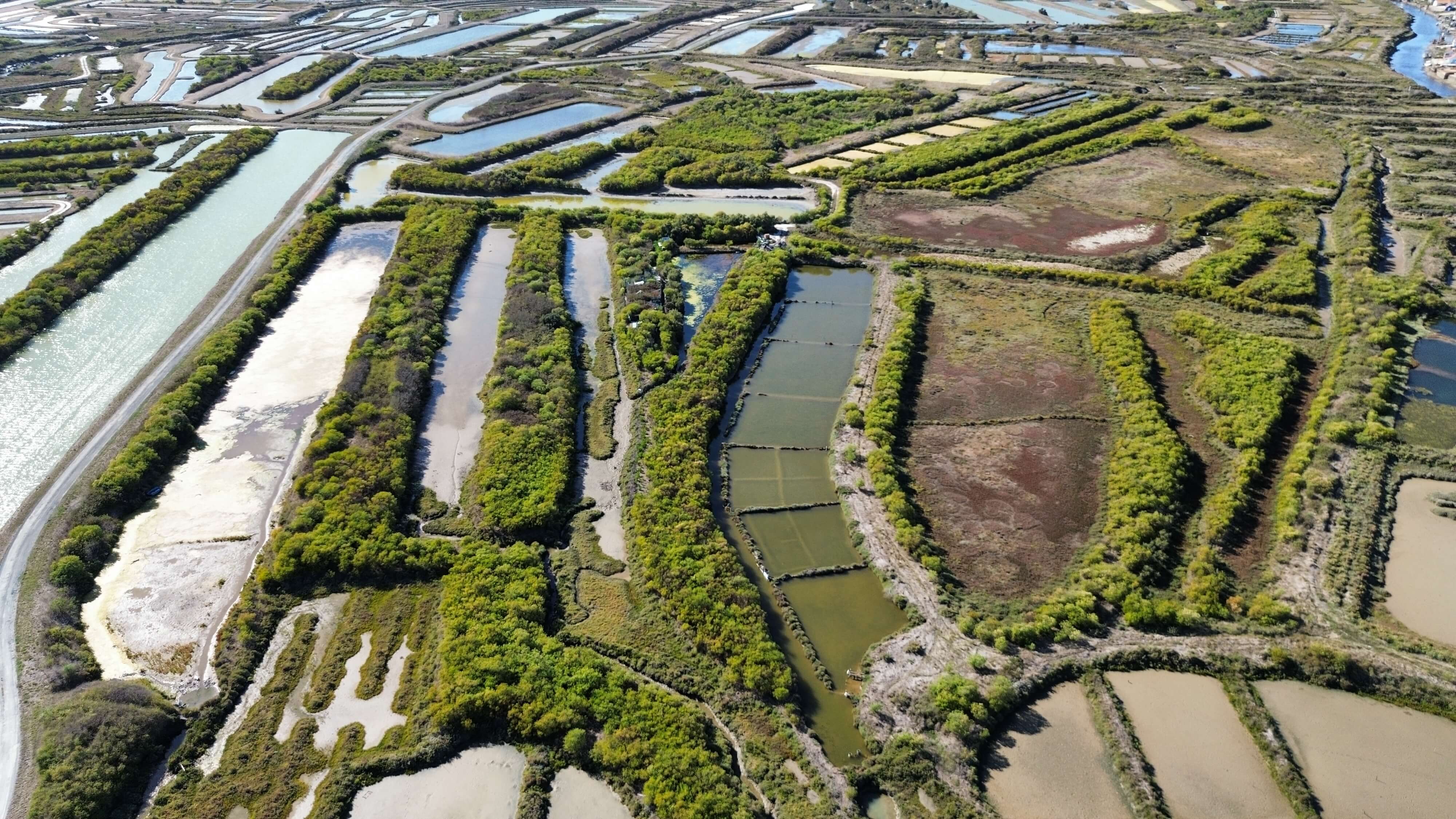 Vue aérienne de Marais Oleonr